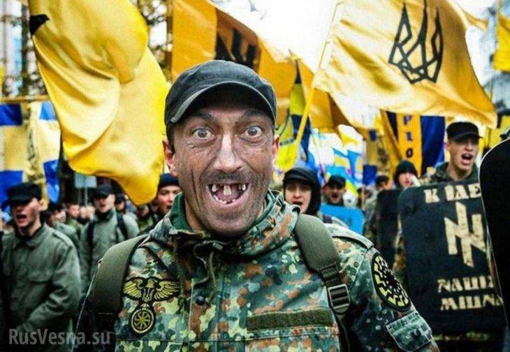 Павел Климкин - Майдан головного мозга: украинский язык хотят сделать официальным в ООН - pravda-tv.ru - Россия - Украина