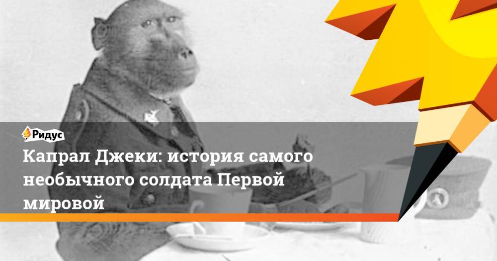 Капрал Джеки: история самого необычного солдата Первой мировой. Ридус - ridus.ru - Англия - Бельгия - Египет - Франция - Шотландия - Юар