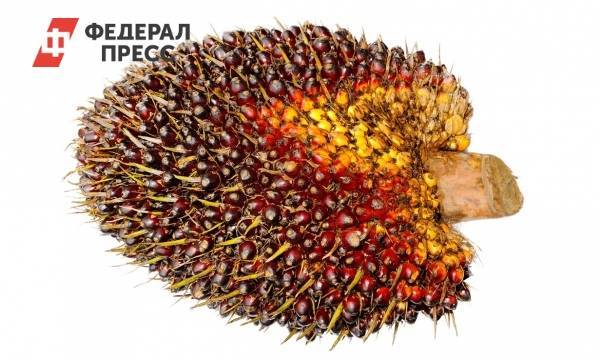 Вячеслав Володин - Пальмовое масло лишат льгот на НДС | Москва | ФедералПресс - fedpress.ru - Москва - Россия - Китай - Санкт-Петербург - Индия