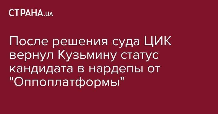 Ренат Кузьмин - После решения суда ЦИК вернул Кузьмину статус кандидата в нардепы от "Оппоплатформы" - strana.ua - Украина - Киев