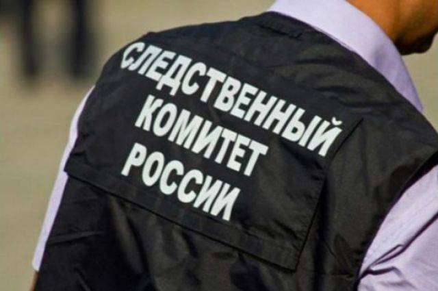 Валентина Матвиенко - В Москве завели дело о халатности из-за воспитания детей однополой парой - aif.ru - Москва - Россия