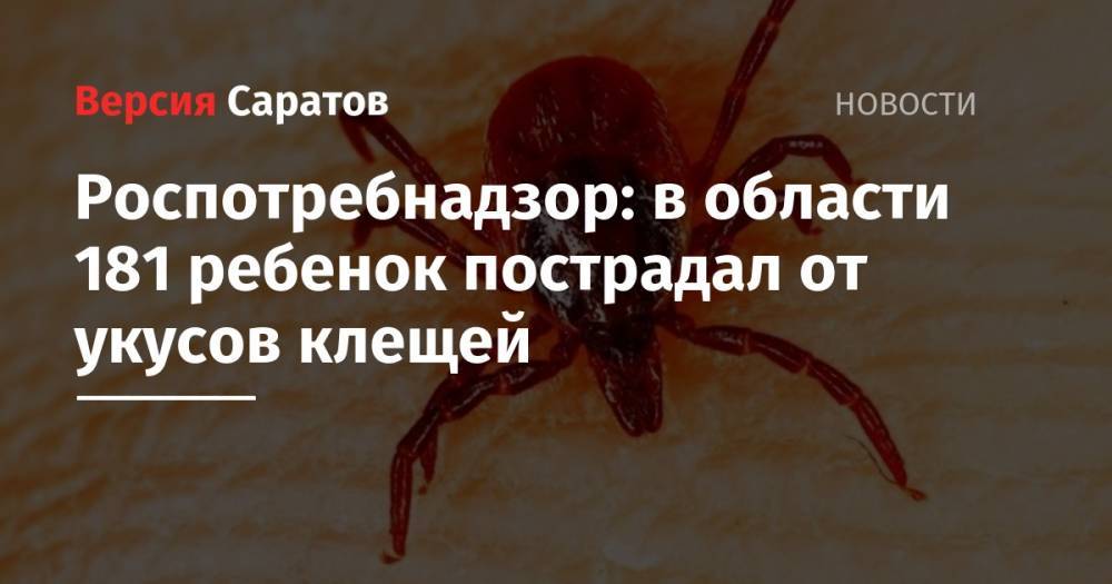 В области 181 ребенок пострадал от укуса клещей - nversia.ru - Саратовская обл. - район Марксовский - Тамбовская обл. - Пензенская обл. - район Энгельсский - Аткарск