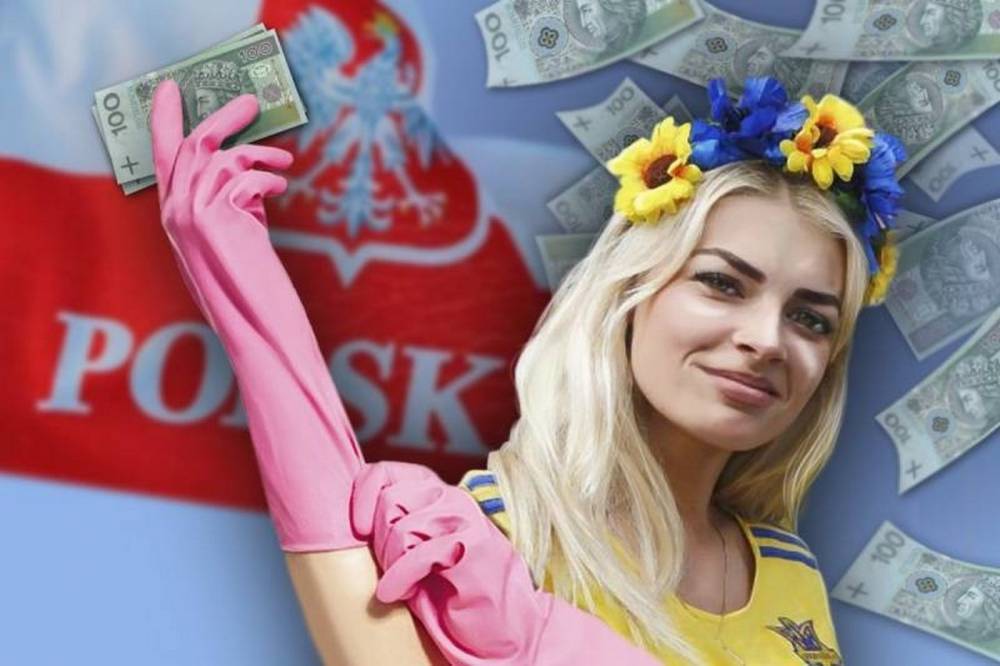 Евгений Попов - Шок-видео: Польский пан бьёт украинского гастарбайтера - politnavigator.net - Польша - шт.Флорида