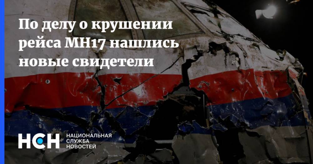 Игорь Гиркин - По делу о крушении рейса MH17 нашлись новые свидетели - nsn.fm - обл. Донецкая - ДНР - Куала-Лумпур - Амстердам