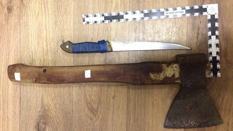 В Севастополе 18-летний убийца матери и бабушки предстанет перед судом - crimea.ria.ru - Россия - Крым - Симферополь - Севастополь