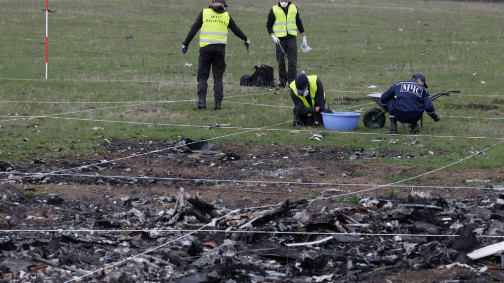 Родные жертв трагедии MH17 променяли правду о крушении на слова священника с украинским подсолнухом - tsargrad.tv - Россия - Украина - Вашингтон - Голландия - Малайзия