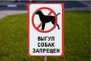 В Орле ужесточат правила выгула собак - vechor.ru - Орла