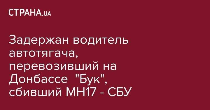 Александр Данилюк - Владимир Цемах - Задержан водитель автотягача, перевозивший на Донбассе "Бук", сбивший MH17 - СБУ - strana.ua - Россия - Украина - ДНР - Донецк - Малайзия