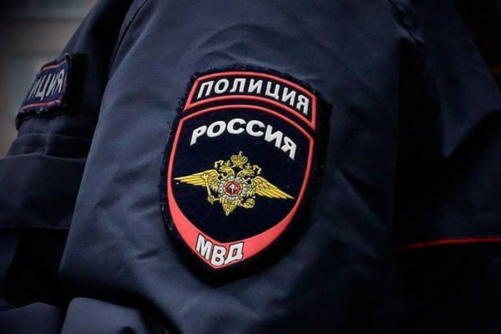 Владимир Путин - Леонид Левин - МВД выпустило рекомендации о том, кого надо наказывать за неуважение к власти - theins.ru