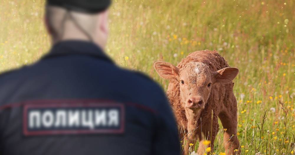 На чиновников в Астраханской области завели 17 дел, среди них — министр ЖКХ. - daylynews.ru - Россия - Астрахань - Астраханская обл.