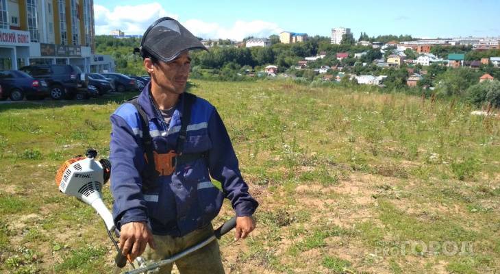 В Чебоксарах ворона клюнула своего спасителя в лицо - pg21.ru - Чебоксары
