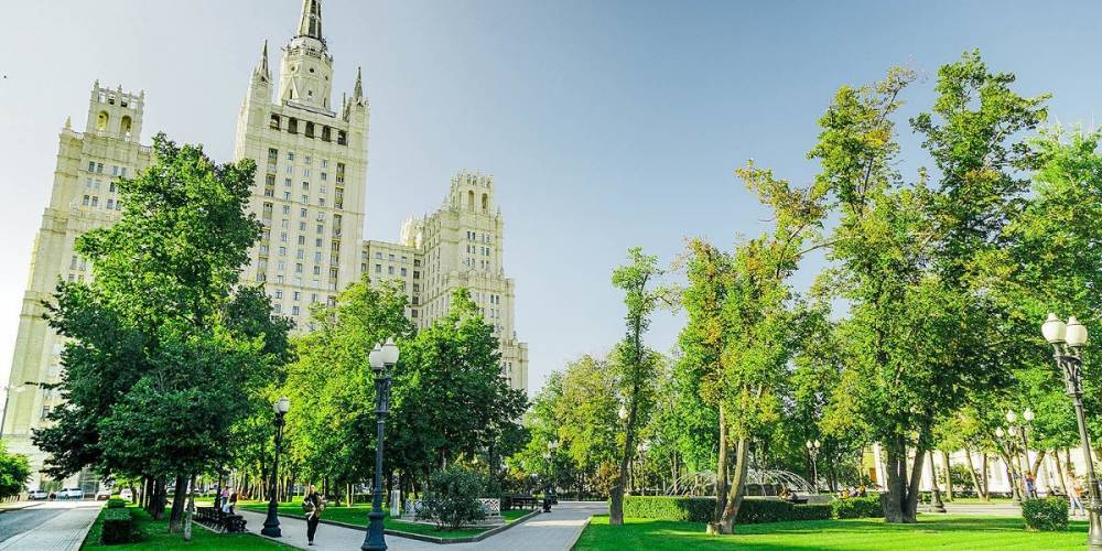 Работы по уходу за деревьями и кустарниками начались в центре столицы - m24.ru - Москва - Благоустройство