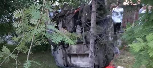 Изменил направление движения, заметив помеху: появились подробности югорского ДТП, в котором погибли три человека - news.megatyumen.ru - Сургут