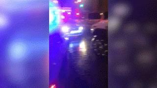 ОПГ под руководством полицейских пойдёт под суд за многочисленные грабежи. - daylynews.ru - Россия - Вологодская обл. - Череповец - Бийск
