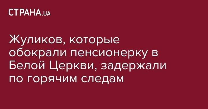 Жуликов, которые обокрали пенсионерку в Белой Церкви, задержали по горячим следам - strana.ua - Киев - Черкассы