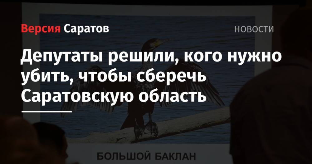 Николай Кузнецов - Депутаты решили, кого нужно убить, чтобы сберечь Саратовскую область - nversia.ru - Россия - Саратовская обл.