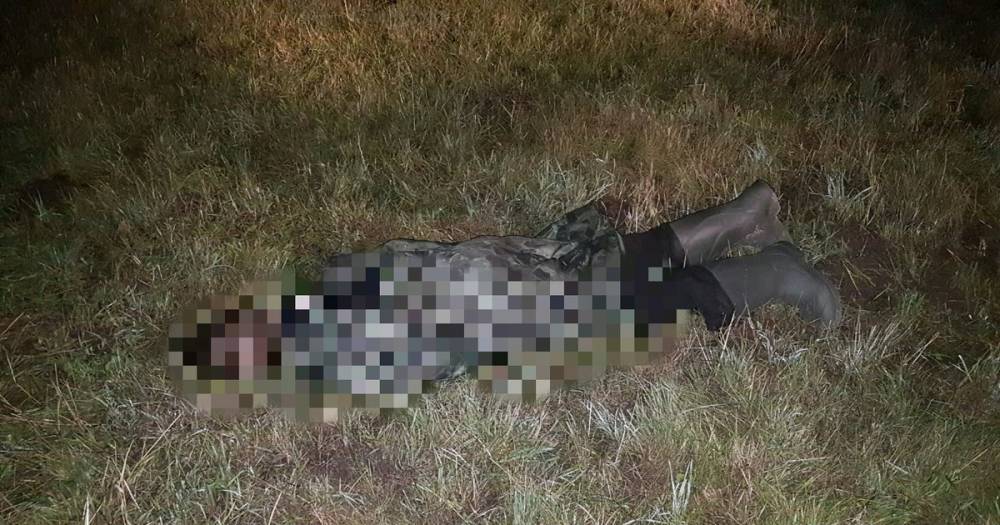 В белгородской лаборатории назвали возможную причину массовой гибели пчёл. - daylynews.ru - Россия - Саратовская обл. - Алтайский край - Воронежская обл. - Курская обл. - Ульяновская - Белгород - респ. Марий Эл - респ. Удмуртия - Тамбовская обл. - Липецкая обл.