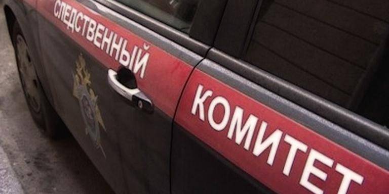 Валентина Матвиенко - СК впервые возбудил уголовное дело на сотрудников опеки из-за усыновления геем двоих детей - ruposters.ru - Москва - Россия - Марьино