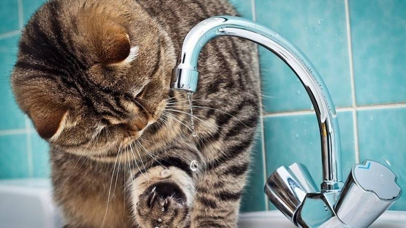 В Уфе стало известно, будут ли отключать воду по всему городу - bash.news - Уфа