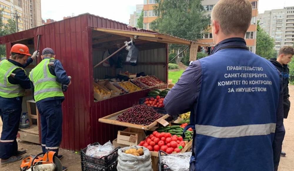 В Выборгском районе от нелегальной торговли освободили 22 земельных участка - gorod-plus.tv