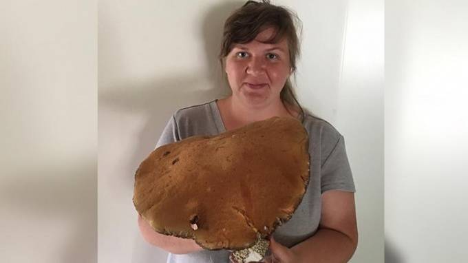 Лесничка из Ленобласти нашла гигантский "финский" гриб - piter.tv - Приморье край - Находка