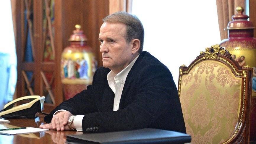 Владимир Зеленский - Владимир Путин - Виктор Медведчук - Медведчук рассказал Путину о реакции Европарламента на мирный план по Донбассу - riafan.ru - Россия - Украина - Киев - Санкт-Петербург - Луганская обл. - ДНР - Донецк - ЛНР - Луганск