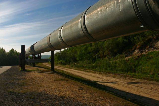 Александр Новак - ТАСС: фигурант дела о загрязнении нефти в «Дружбе» задержан в Литве - aif.ru - Россия - Белоруссия - Литва