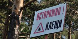 От укусов клещей пострадало более 1500 жителей Орловской области - vechor.ru - Орловская обл.