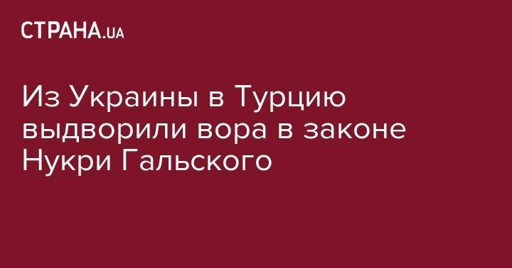 Андрей Крищенко - Из Украины в Турцию выдворили вора в законе Нукри Гальского - strana.ua - Россия - Украина - Киев - Грузия - Турция - район Дарницкий