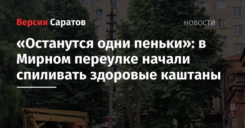 «Останутся одни пеньки»: в Мирном переулке начали спиливать здоровые каштаны - nversia.ru - Саратов