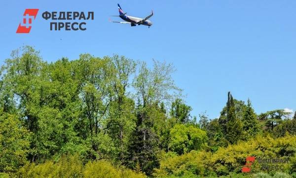 Екатерина Лазарева - ФСБ получит право отменять любые международные рейсы | Москва | ФедералПресс - fedpress.ru - Москва - Россия - Грузия