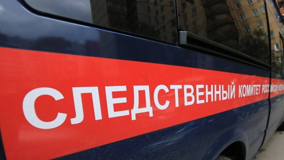 Светлана Петренко - СК России возбудил уголовное дело против предводителя ОУН* | Новороссия - novorosinform.org - Россия - Киев - Горловка - Донецк