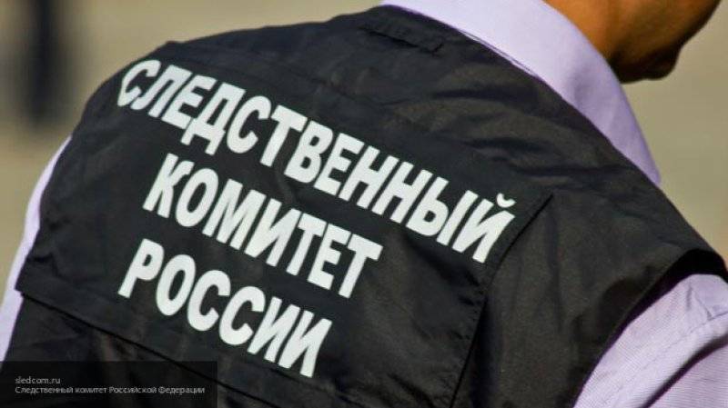 Дарья Балясникова - СК начал проверку после задымления на рейсе Москва-Ереван - nation-news.ru - Москва - Россия - Ереван