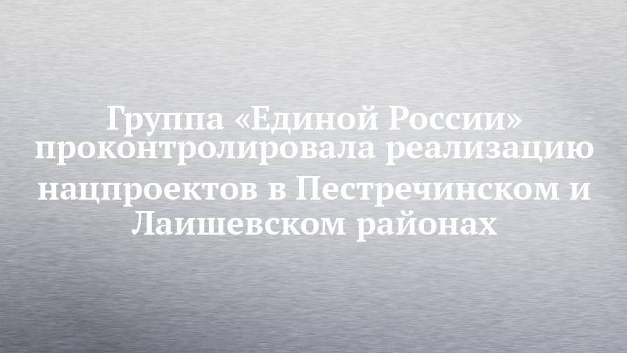 Группа «Единой России» проконтролировала реализацию нацпроектов в Пестречинском и Лаишевском районах - chelny-izvest.ru - Россия - респ. Татарстан - Казань - район Пестречинский - район Лаишевский