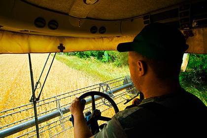 Россия запланировала поставки пшеницы и кукурузы в Кувейт - lenta.ru - Кувейт
