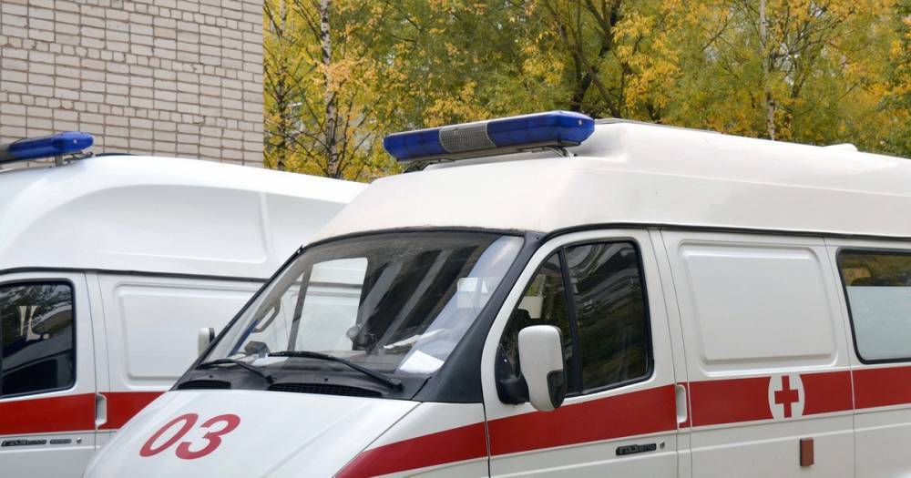 Шесть человек погибли в ДТП в Приморье. - daylynews.ru - Приморье край - Владивосток - Восточный