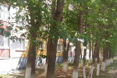 Курсы валют ЦБ РФ - ufacitynews.ru - Уфа