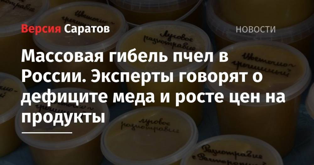 Массовая гибель пчел в России. Эксперты говорят о дефиците меда и росте цен на продукты - nversia.ru - Россия - Башкирия - Московская обл. - респ. Татарстан - Саратовская обл. - Алтайский край