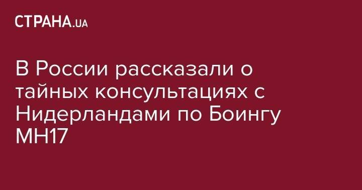 Александр Грушко - В России рассказали о тайныъ консультациях с Нидерландами по Боингу MH17 - strana.ua - Россия - обл. Донецкая - Голландия - Малайзия - Куала-Лумпур - Амстердам - Гаага
