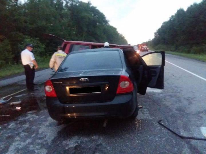 Выжившую в ДТП с 8 погибшими 10-летнюю девочку перевели в сельскую больницу&nbsp; - Новости Воронежа - moe-online.ru - Воронеж - Тула - Воронежская обл. - Луганск - Ставрополье - Острогожск