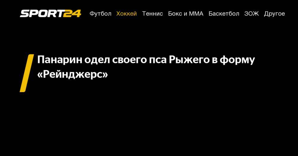 Артемий Панарин - Панарин одел своего пса Рыжего в&nbsp;форму «Рейнджерс» - sport24.ru - Нью-Йорк - Сан-Хосе