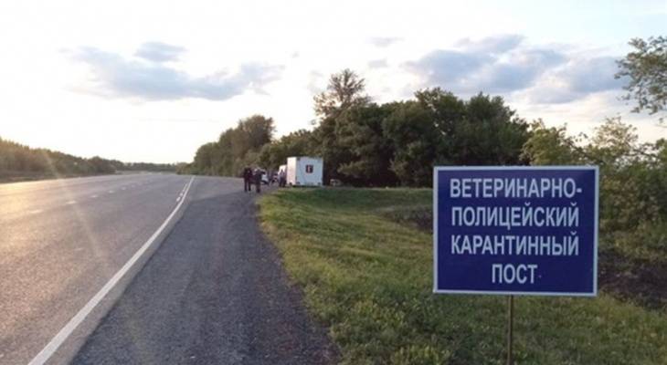 На выезде из Чувашии установили пограничные посты - pg21.ru - респ. Чувашия - Ульяновская