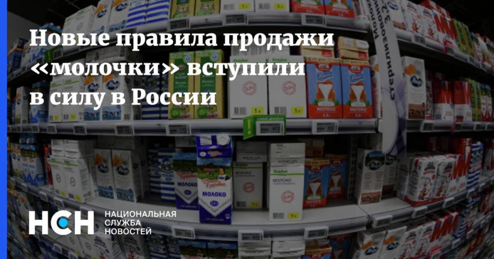 Дмитрий Медведев - Новые правила продажи «молочки» вступили в силу в России - nsn.fm - Россия