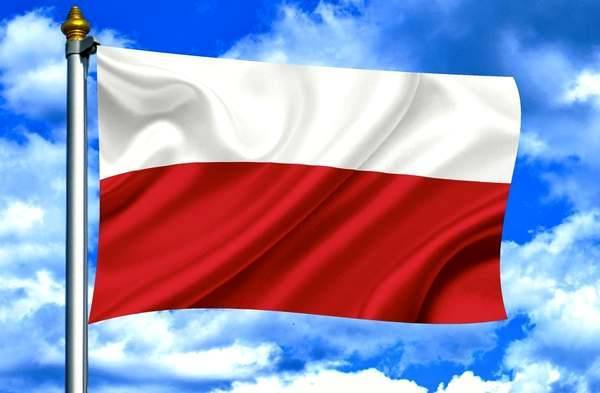 Реформа местного самоуправления в Польше: 25 лет спустя. Уроки для Украины - argumentua.com - Украина - Италия - Германия - Польша - Рим - Римская Империя