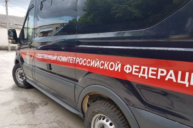 Иван Голунов - Сергей Бадамшин - Уголовное дело Голунова передано в Следственный кoмитет - aif.ru - Россия