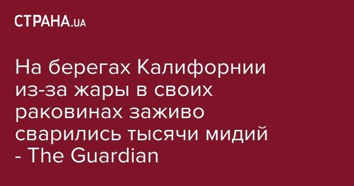 У берегов Калифорнии из-за жары в своих раковинах заживо сварились тысячи мидий - The Guardian - strana.ua - Киев - Колумбия