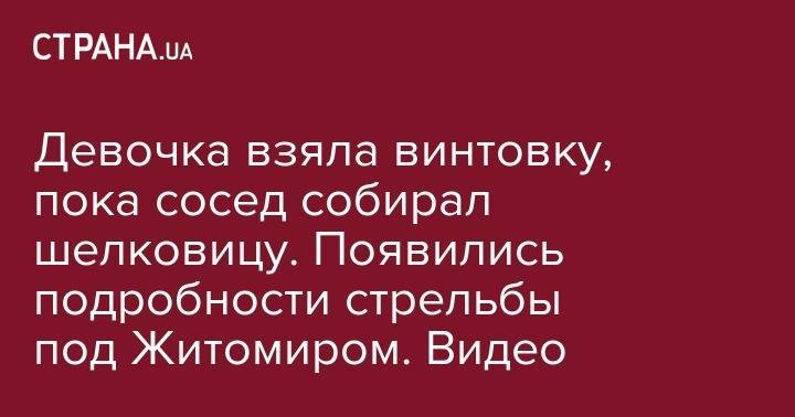 Девочка взяла винтовку, пока сосед собирал шелковицу. Появились подробности стрельбы под Житомиром. Видео - strana.ua - Киев - Одесская обл. - Житомирская обл.