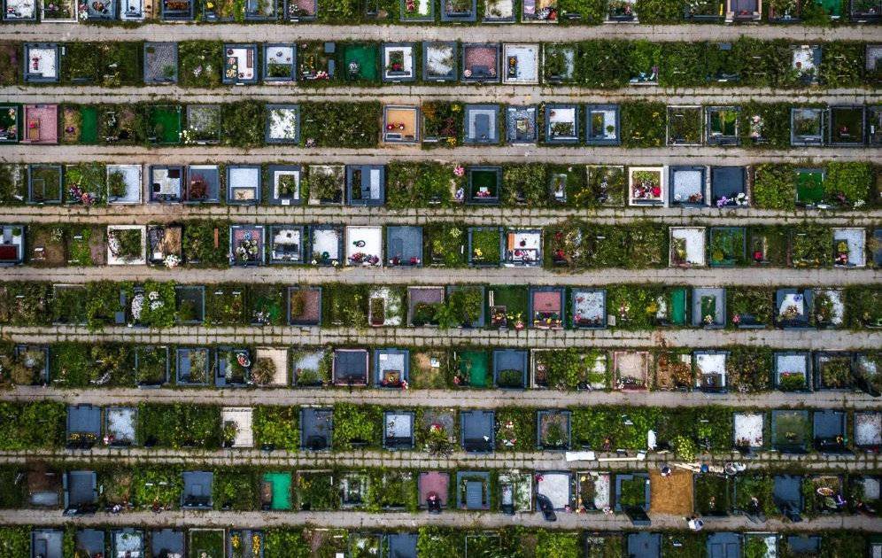 Иван Голунов - Кто владеет московскими кладбищами - readovka.ru - Москва - Ставрополье - Химки