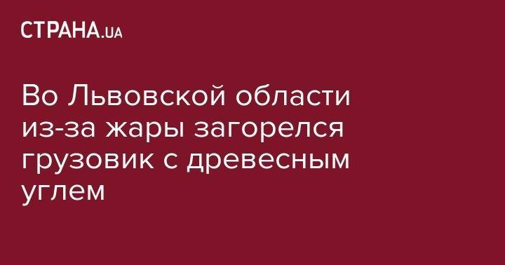 Во Львовской области из-за жары загорелся грузовик с древесным углем - strana.ua - Украина - Львовская обл. - район Пустомытовский
