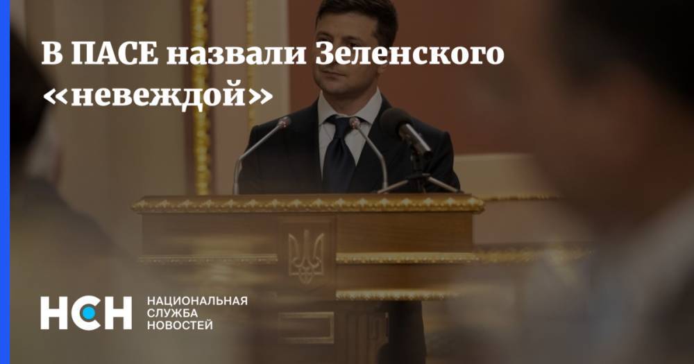 Владимир Зеленский - Павел Климкин - Олег Соскин - Владимир Арьев - В ПАСЕ назвали Зеленского «невеждой» - nsn.fm - Россия - Украина